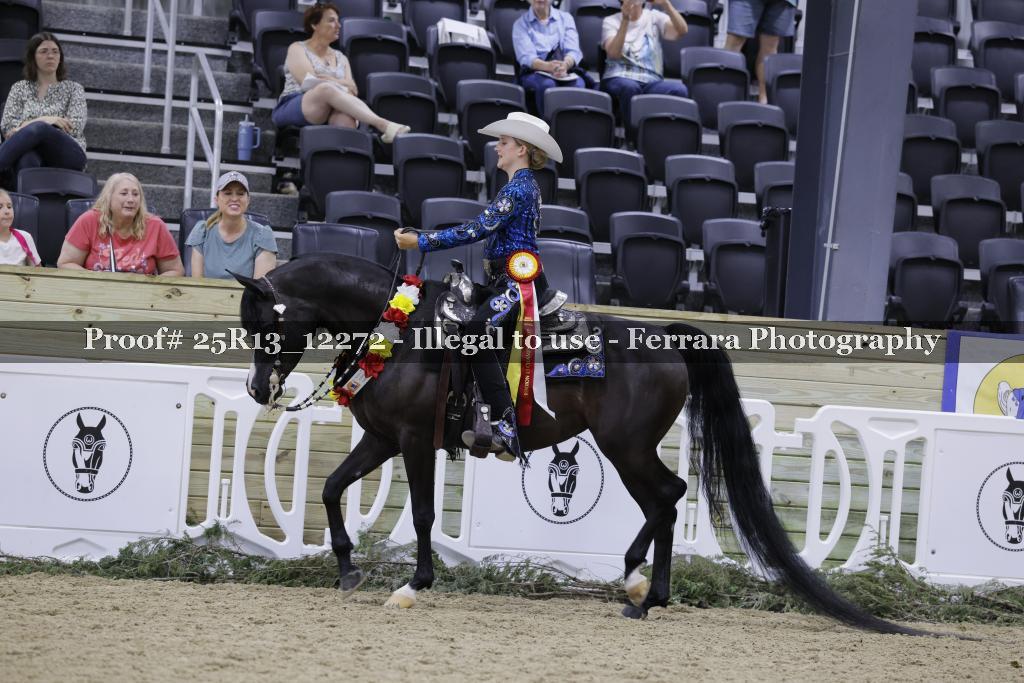 Proof 25R13_12272
