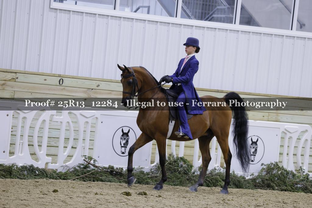 Proof 25R13_12284