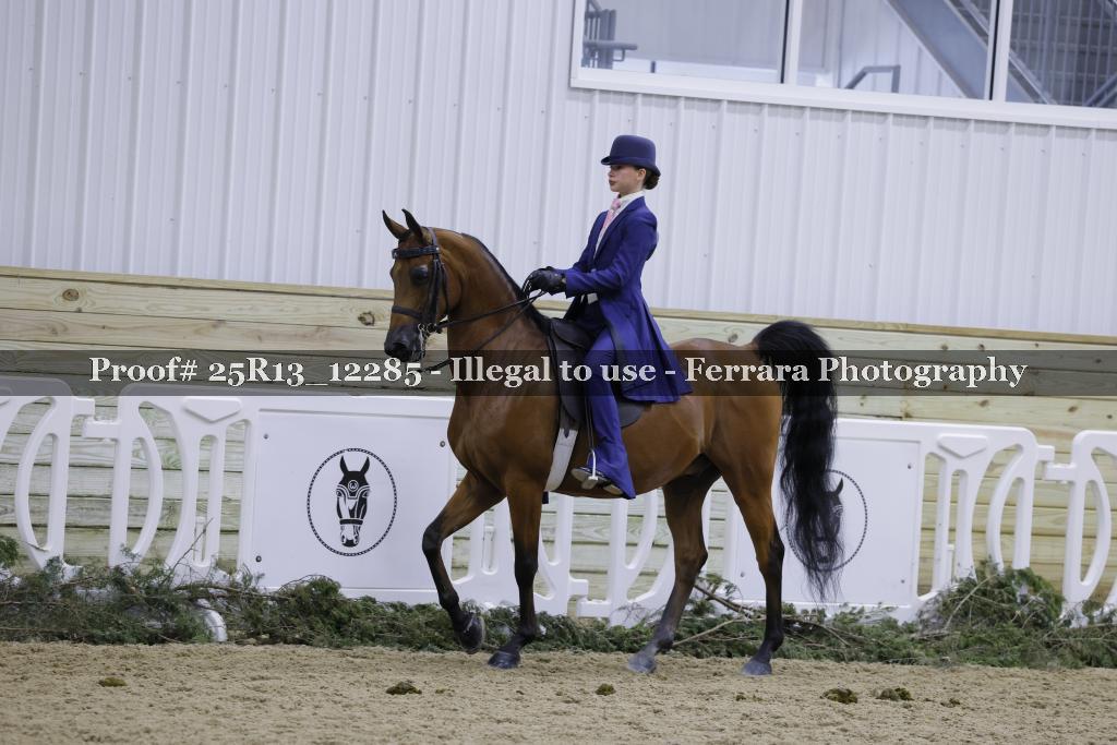 Proof 25R13_12285