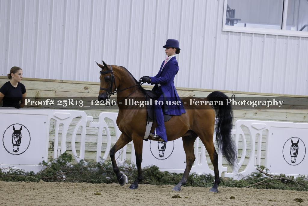 Proof 25R13_12286