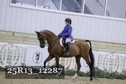 25R13_12287 proof