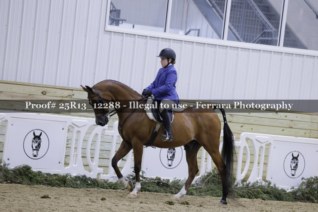 Proof 25R13_12288