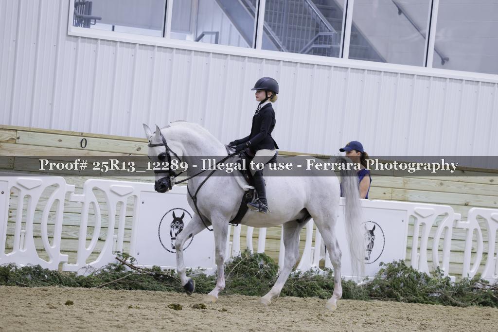 Proof 25R13_12289