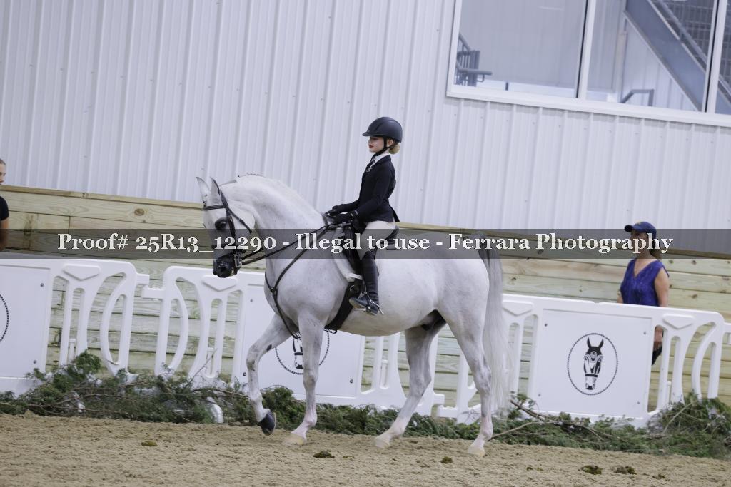 Proof 25R13_12290