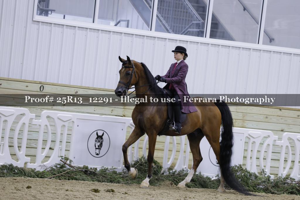 Proof 25R13_12291