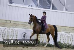 25R13_12291 proof