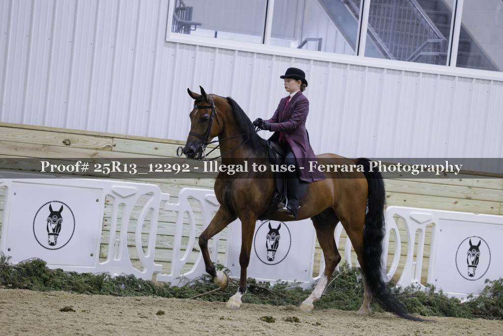 Proof 25R13_12292
