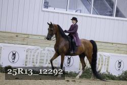 25R13_12292 proof