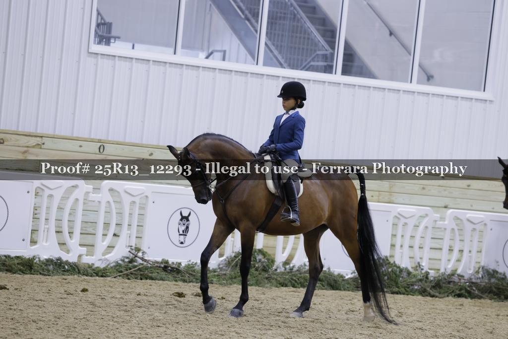 Proof 25R13_12293