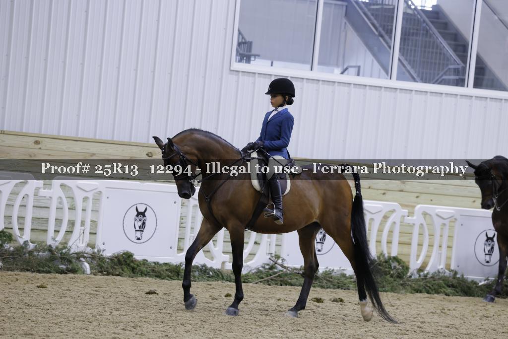 Proof 25R13_12294