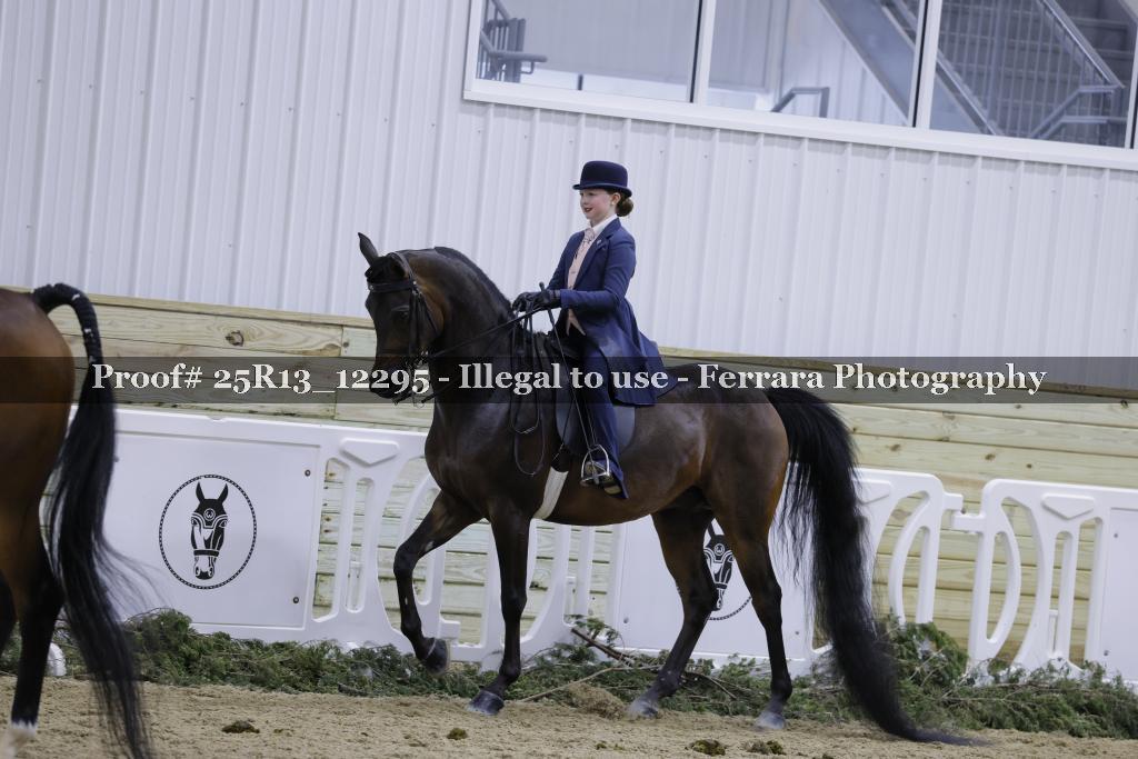 Proof 25R13_12295