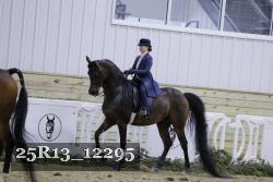 25R13_12295 proof