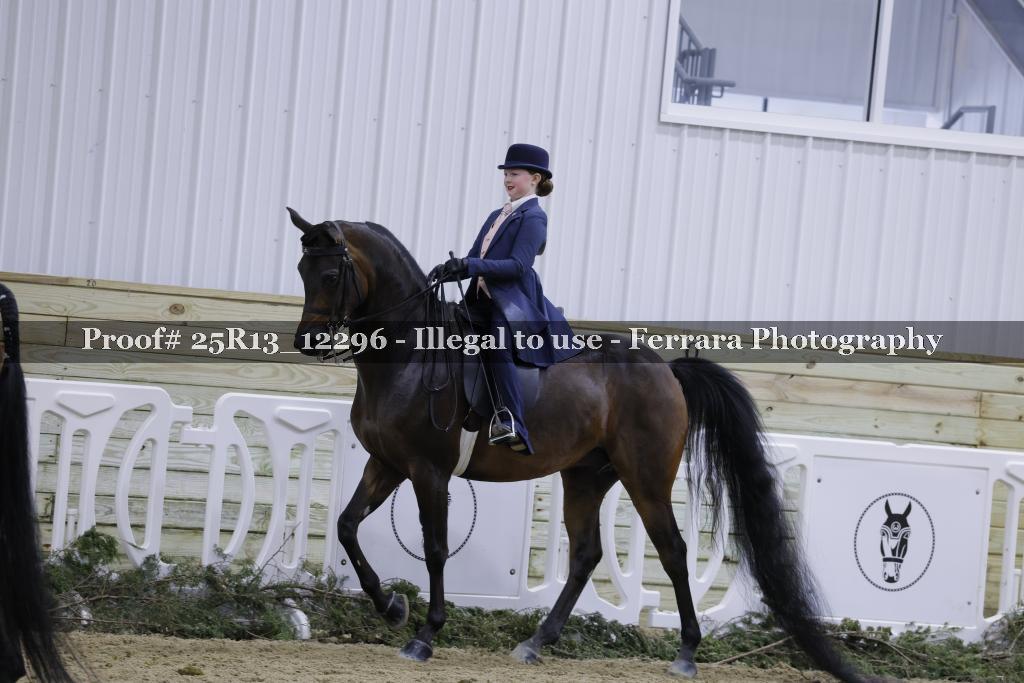 Proof 25R13_12296
