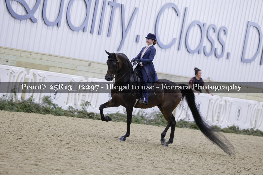Proof 25R13_12297