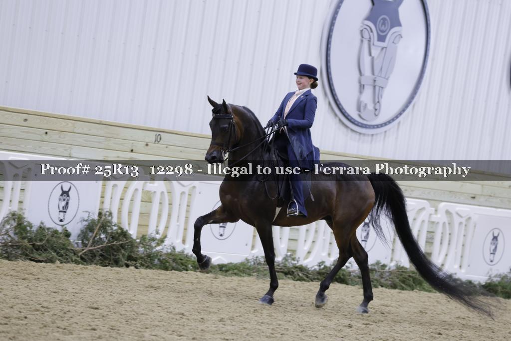 Proof 25R13_12298