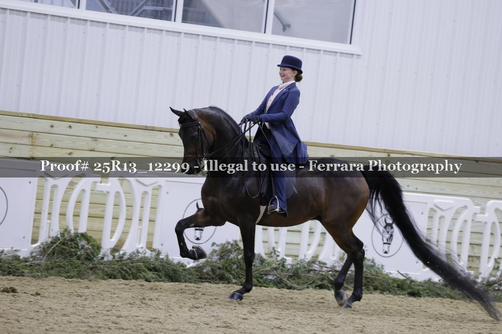 Proof 25R13_12299