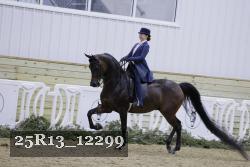25R13_12299 proof