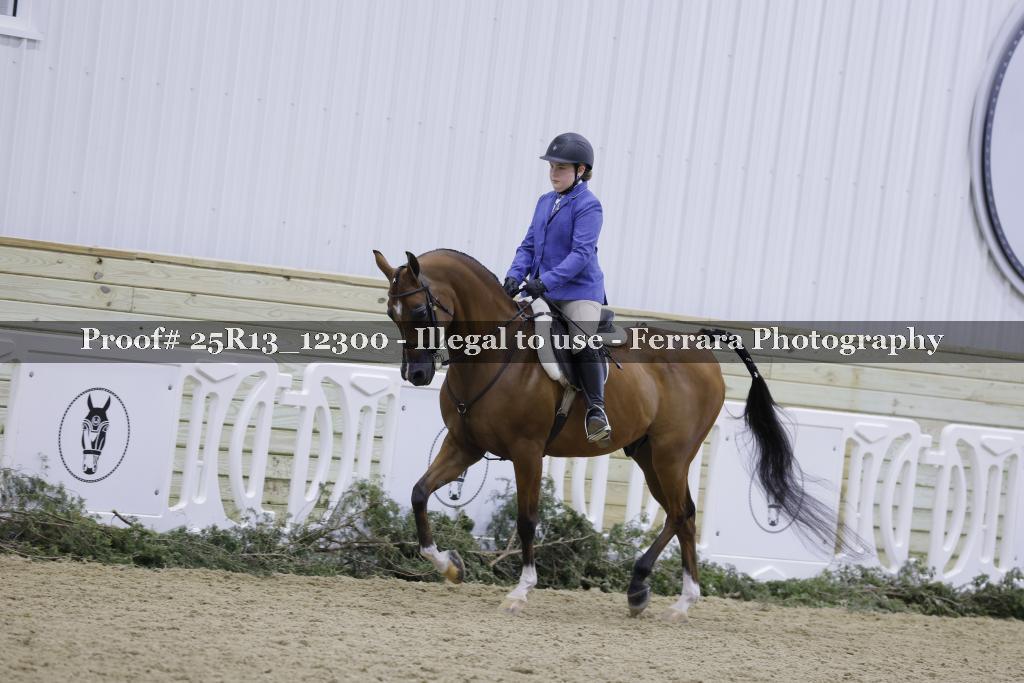Proof 25R13_12300