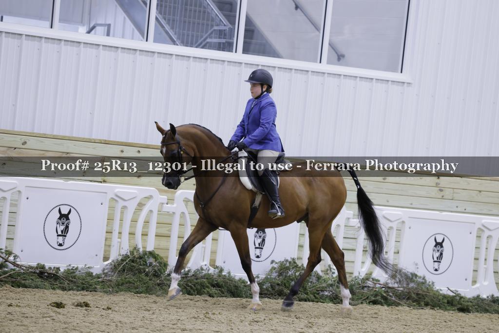 Proof 25R13_12301