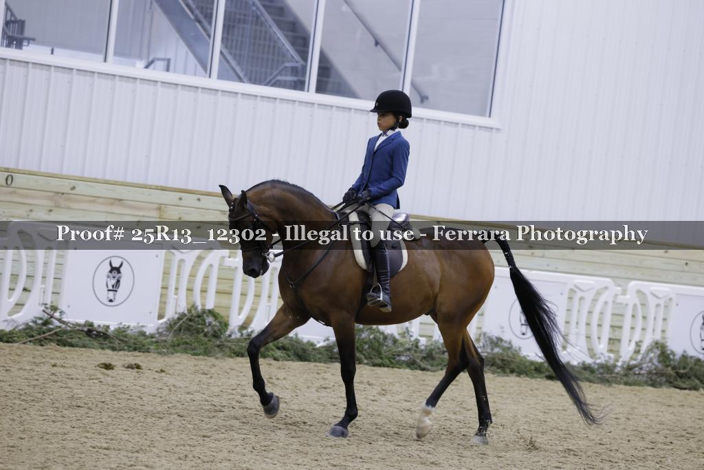 Proof 25R13_12302