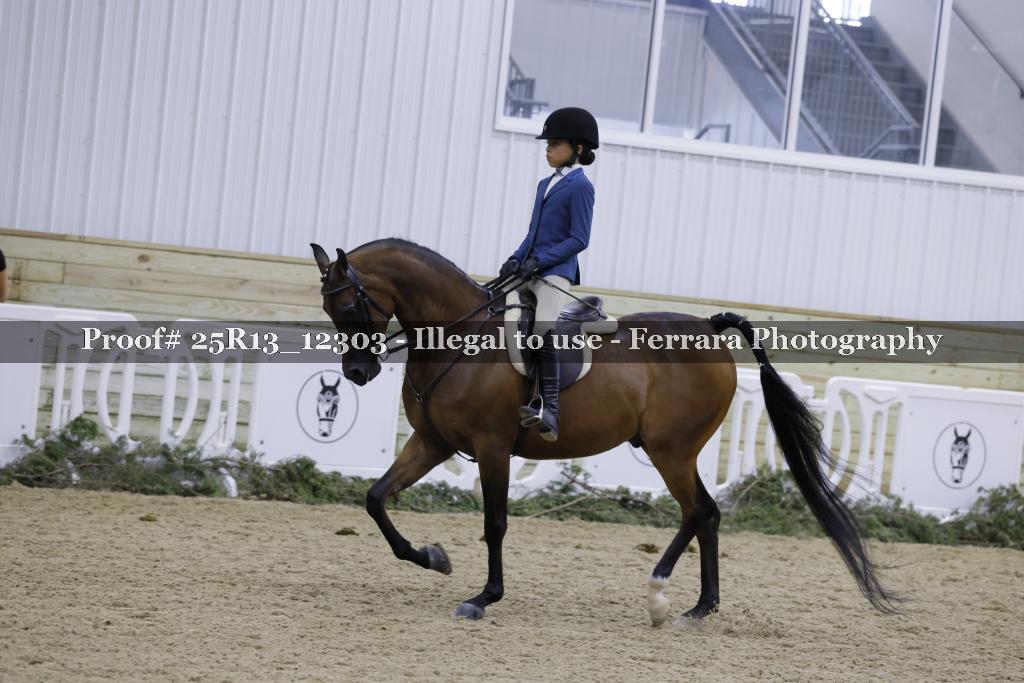 Proof 25R13_12303