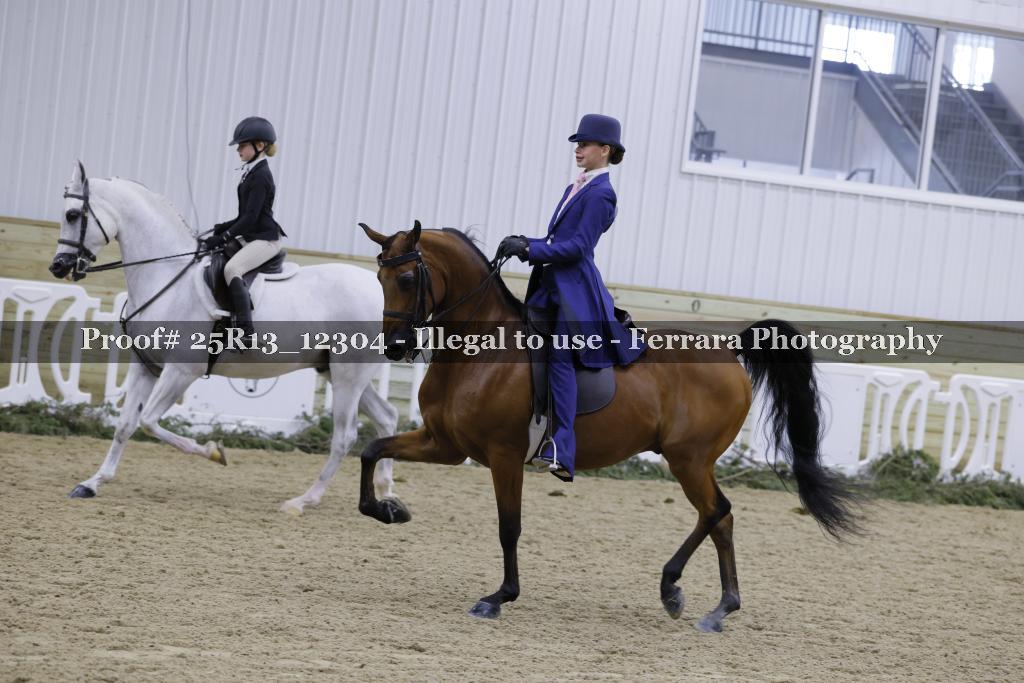 Proof 25R13_12304
