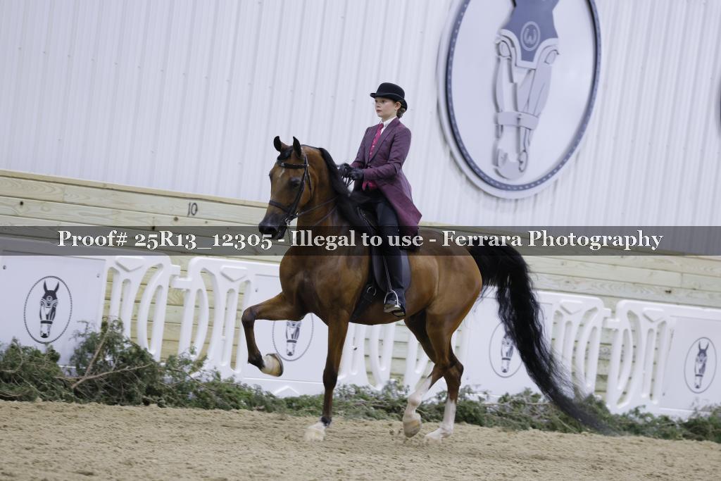 Proof 25R13_12305