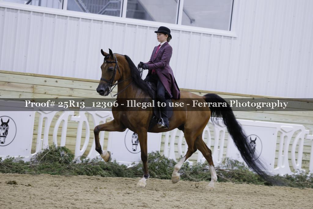 Proof 25R13_12306