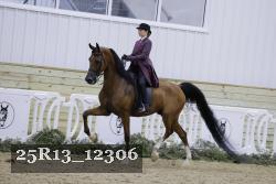 25R13_12306 proof