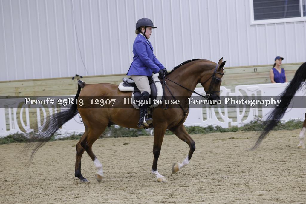 Proof 25R13_12307