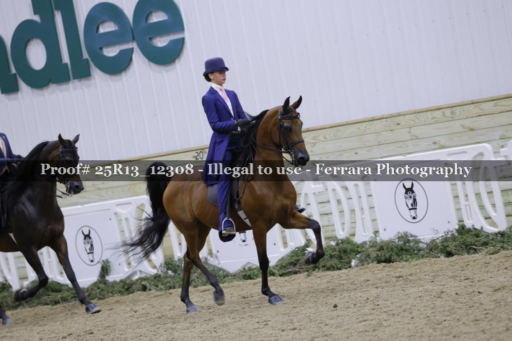 Proof 25R13_12308