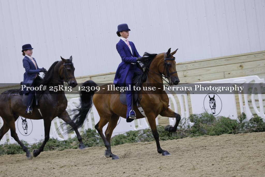 Proof 25R13_12309