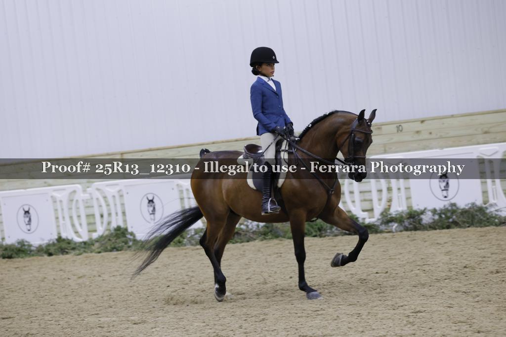 Proof 25R13_12310