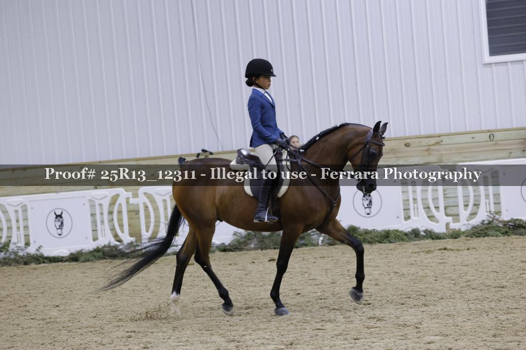 Proof 25R13_12311