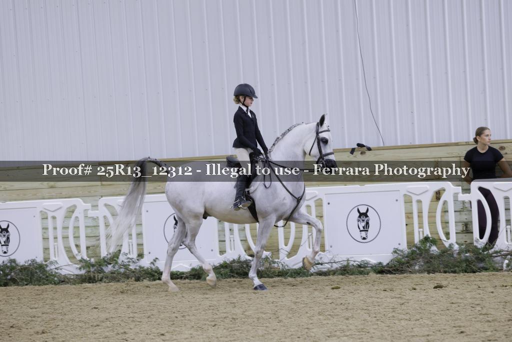 Proof 25R13_12312