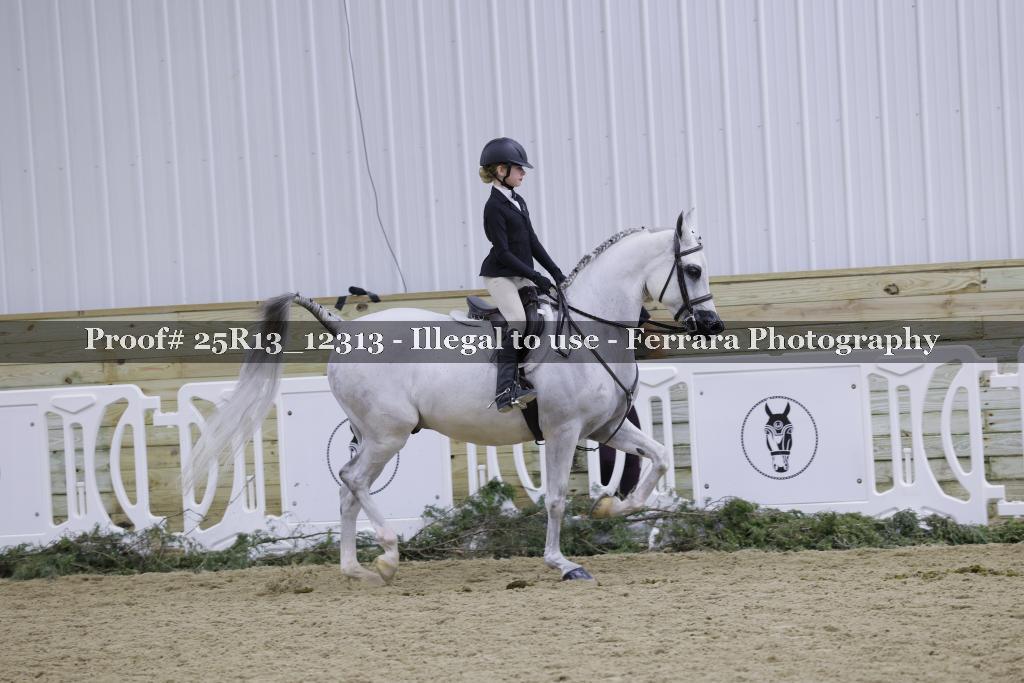 Proof 25R13_12313