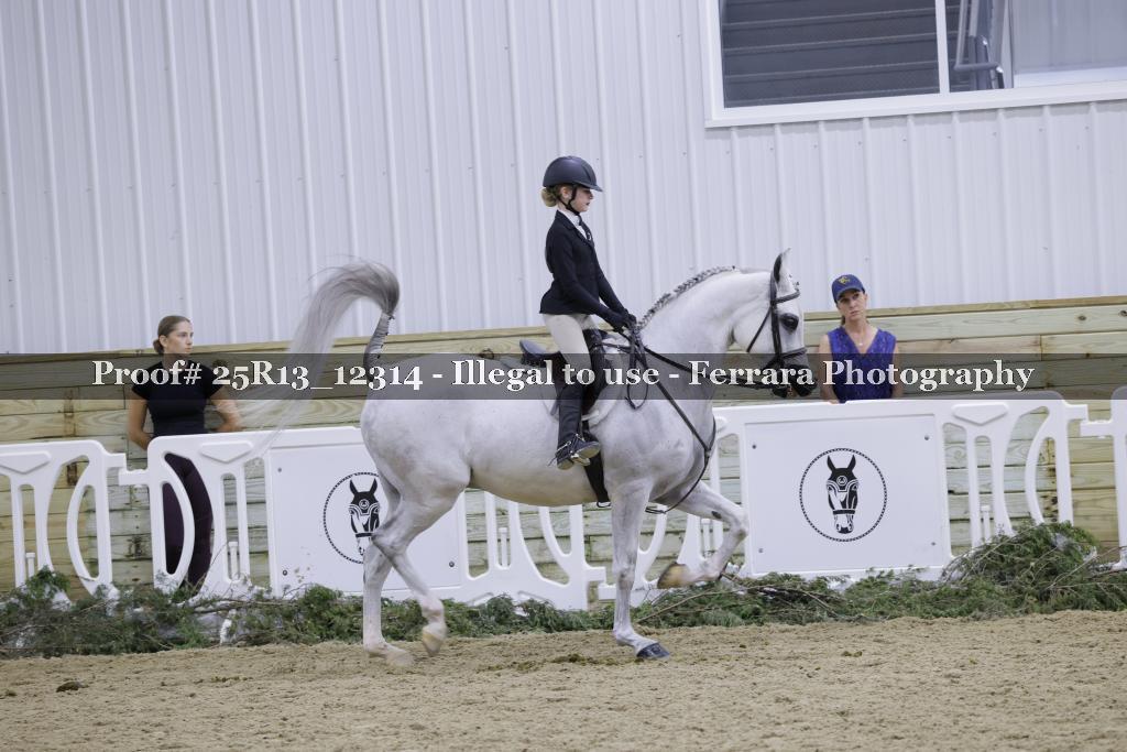 Proof 25R13_12314