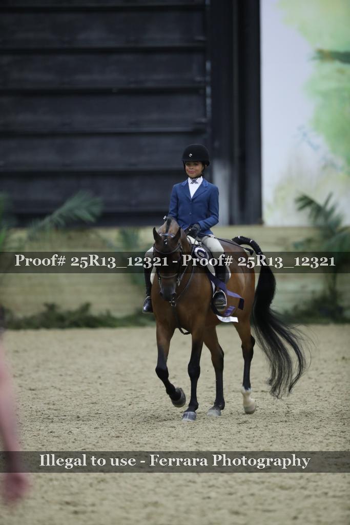 Proof 25R13_12321