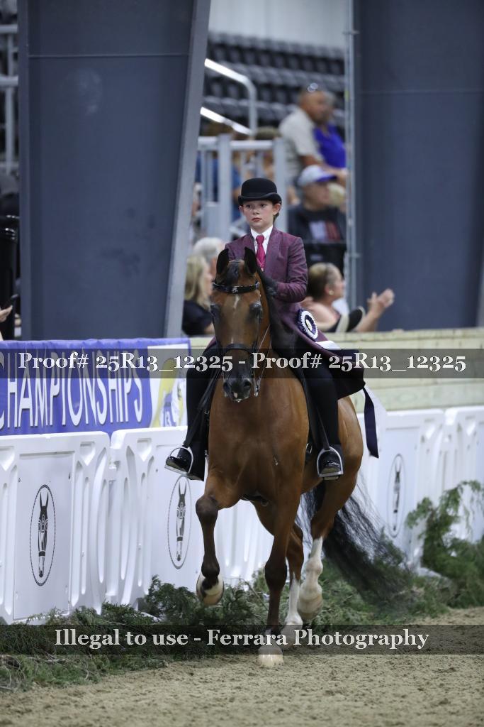 Proof 25R13_12325
