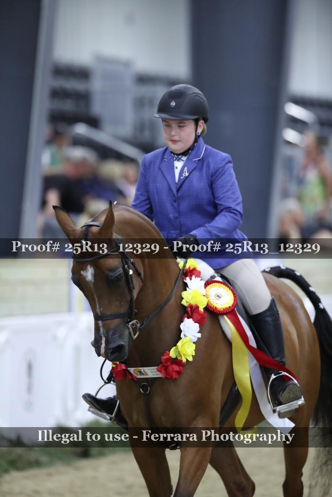 Proof 25R13_12329