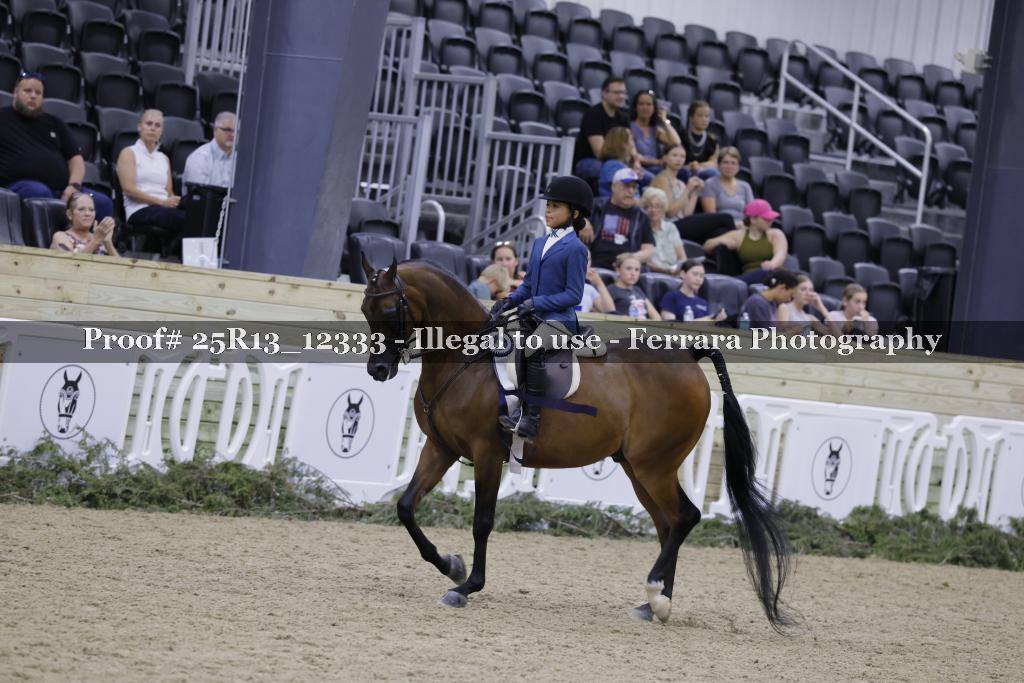 Proof 25R13_12333