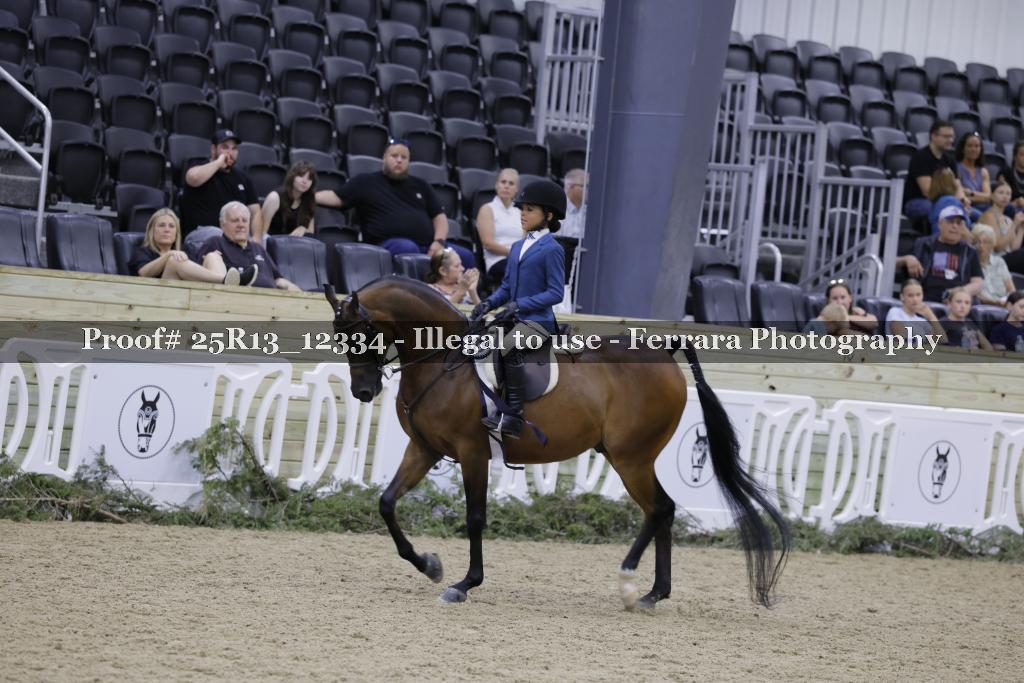 Proof 25R13_12334