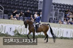25R13_12334 proof