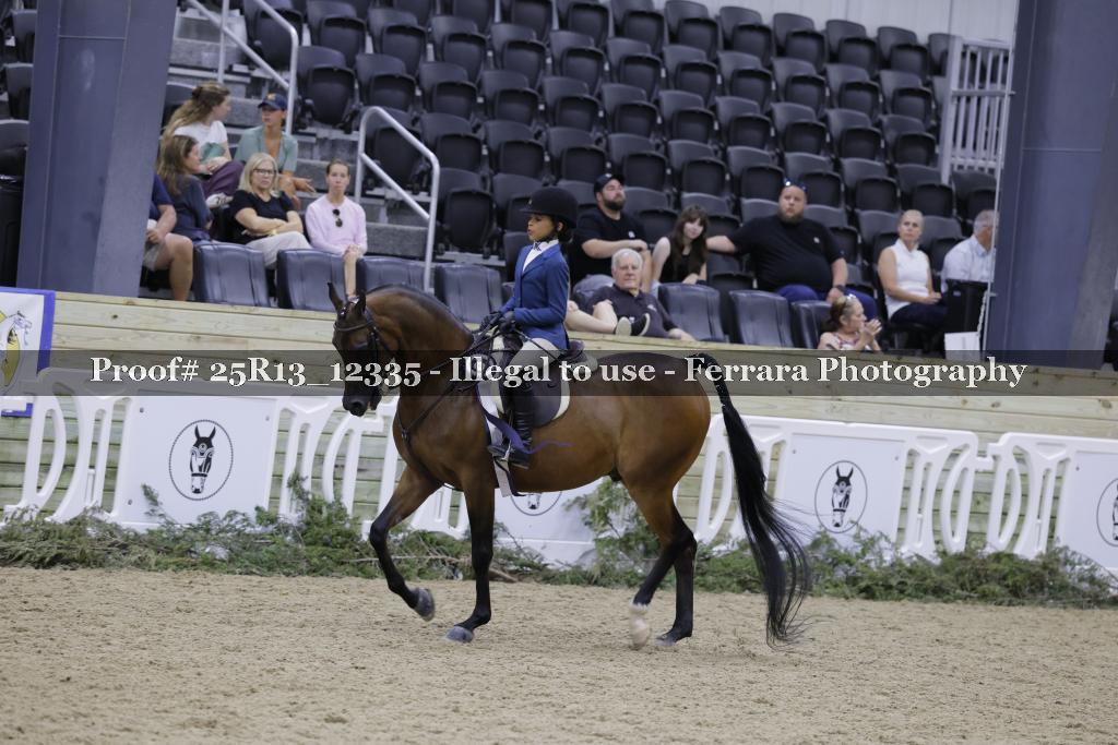Proof 25R13_12335