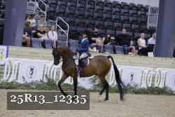 25R13_12335 proof
