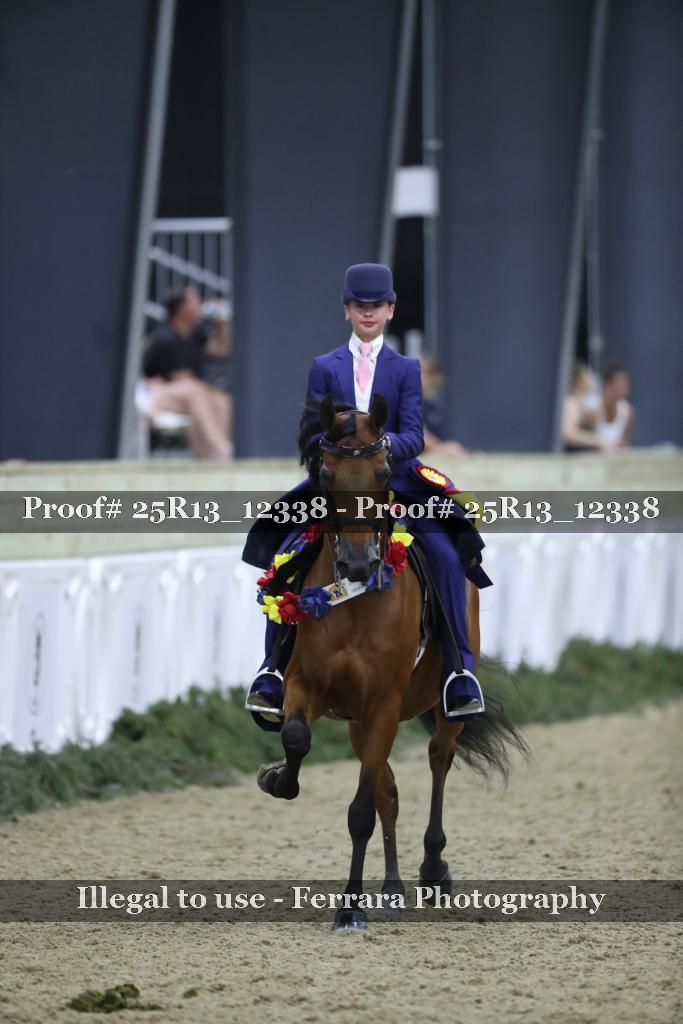 Proof 25R13_12338