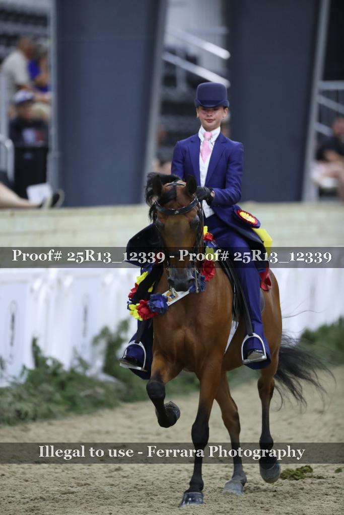 Proof 25R13_12339