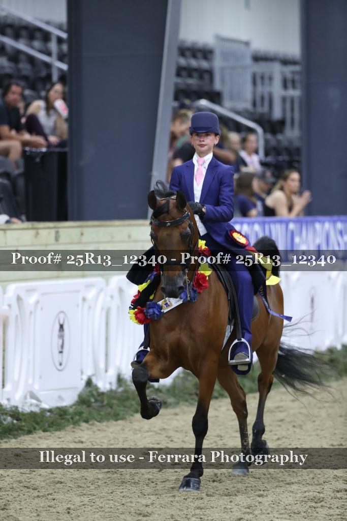 Proof 25R13_12340