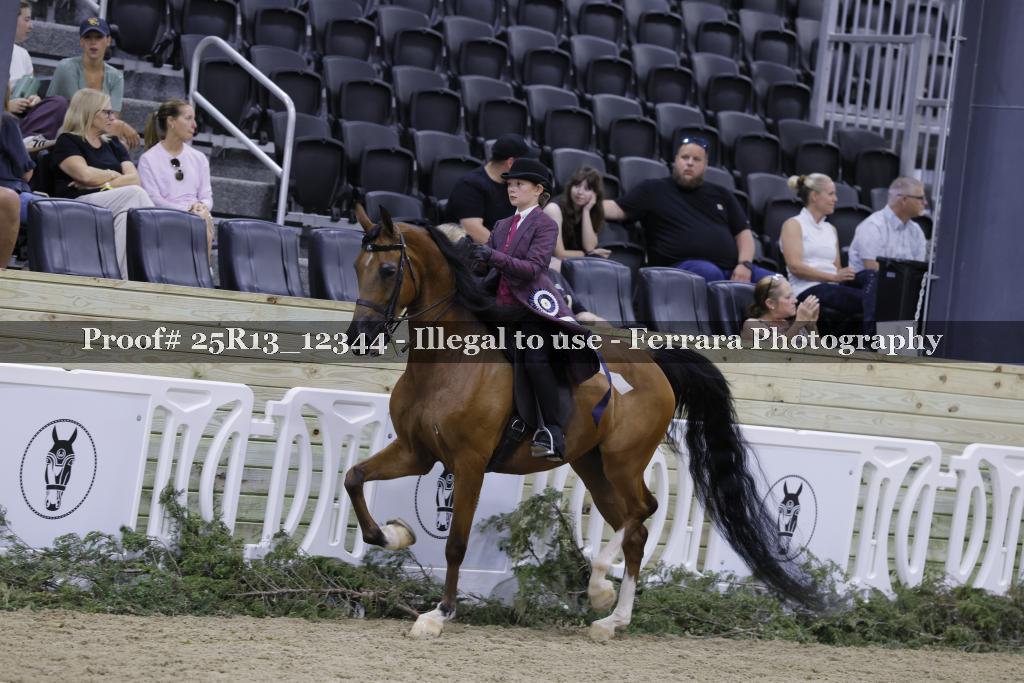 Proof 25R13_12344