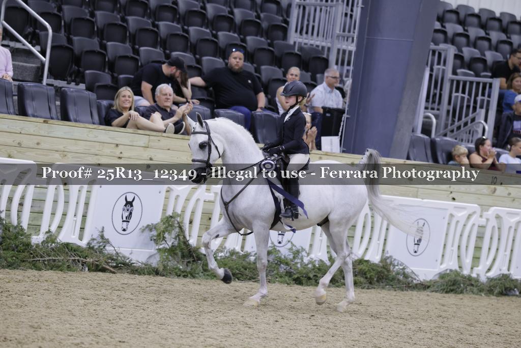 Proof 25R13_12349